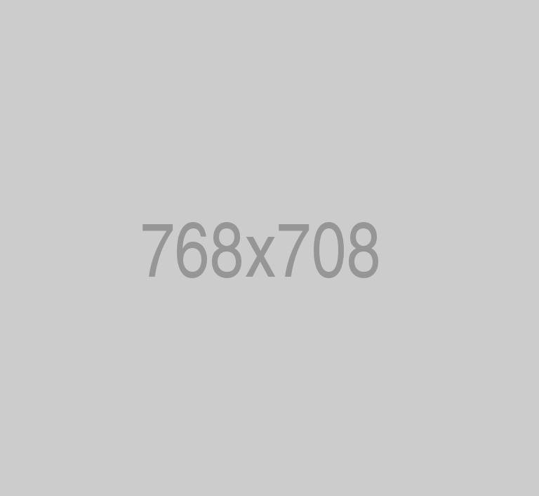 divi-seo-theme-1
